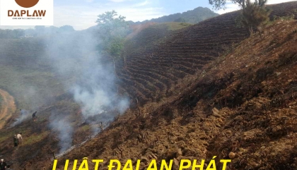 Cấp sổ đỏ đối với đất khai hoang